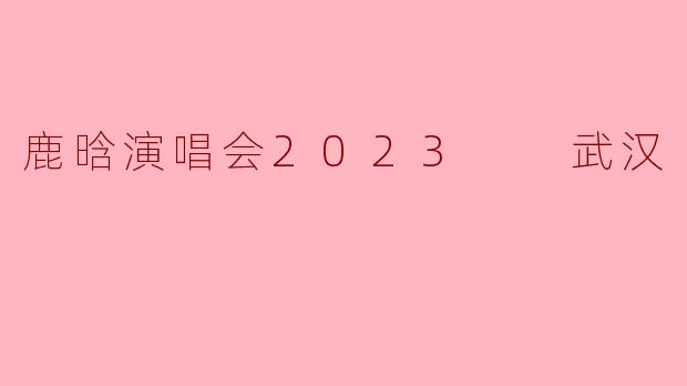 鹿晗演唱会2023  武汉